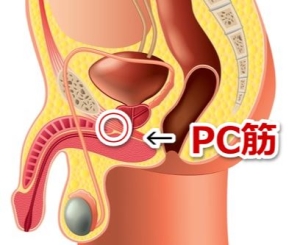 PC