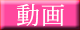 エッチな動画