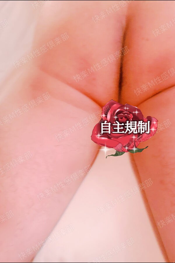 エントリー085
